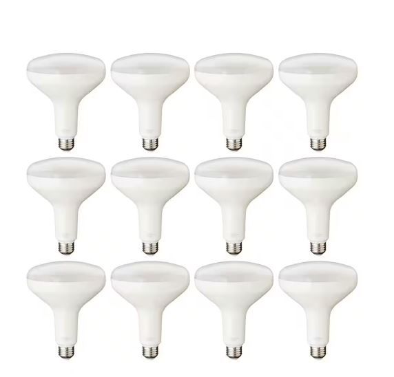 Photo 1 of 75-Watt Equivalent BR40 Dimmable LED Light Bulb Daylight (12-Pack)
