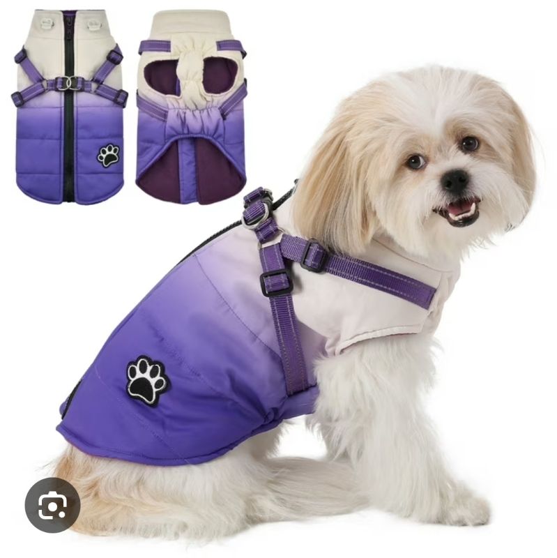Photo 1 of Size Large dog winter clothing 