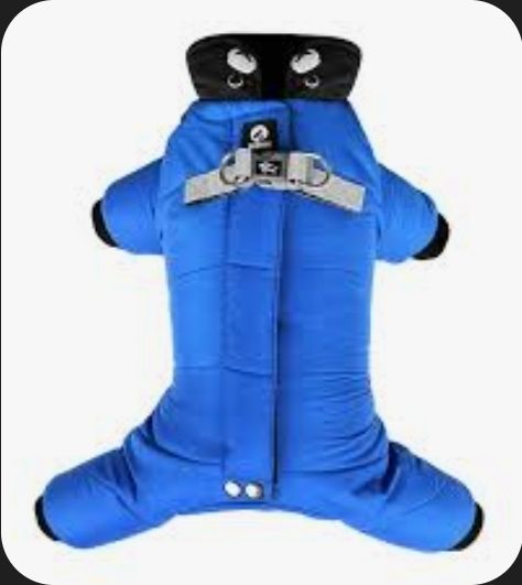 Photo 1 of Size L small dog winter clothing 