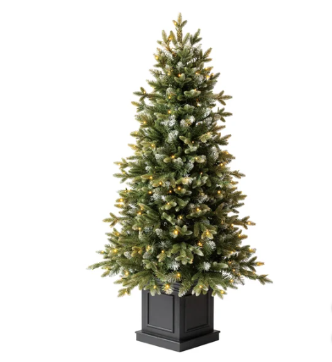 Photo 1 of 4.5 Ft Pre- Potted Aspen Artificial Christmas Tree, Color-Changing Radiant Micro LED Lights
Features:
200 Micro LED lights
1,099 tips
81 cm (32 in.) diameter