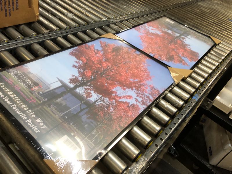 Photo 1 of 20"x30" 2 pack frame 