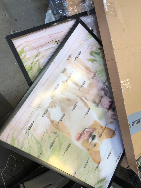 Photo 1 of 25x25 in Picture Frames 2 Pack 