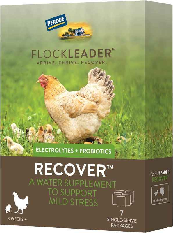 Photo 1 of FlockLeader Recover, Mild Stress Probiotic Water Supplement for Chickens with Electrolytes, One Week Supply, 1.23 oz, 7 ct Packets
