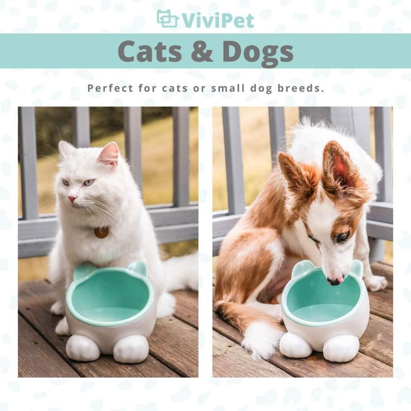 Photo 3 of ViviPet Q Bowls and Big Head Water Bowl for Cat and Dog under 20 Pound (Big Head Water Bowl-Lemon)
