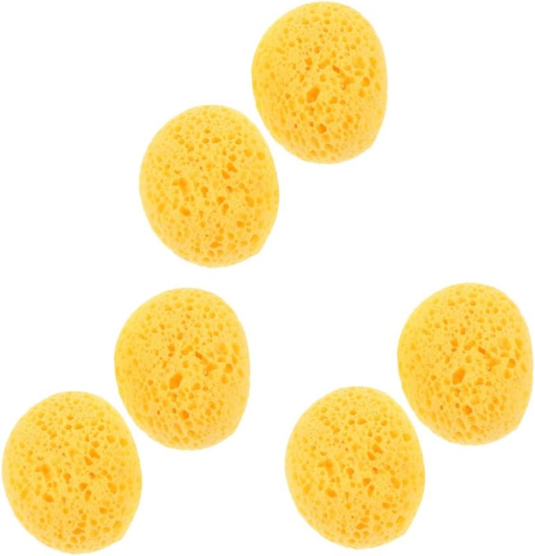 Photo 1 of Gadpiparty 8 Pcs Textured Sponge Drywall Texture Sponge Texture Sponge Drywall Texture Sponge for Painting Wall Repair Ceiling Texture Sponge Drywall Patch Sponge Drywall Tools Repair Sponge
