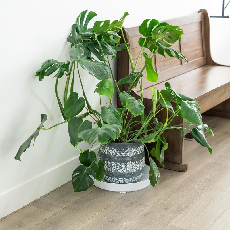 Photo 1 of Garden Hour 16 Inch Large Plant Saucers for Potted Plants & Felt Mat for Floor Protection - Plastic Plant Trays for Indoors No Holes - Extra-Deep Drip Trays for Potted Plants - White.