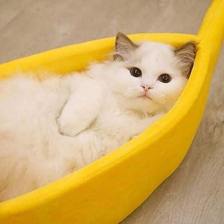 Photo 2 of haixclvyE Creative Banana Shape Cat Nest Pet Bed Soft Warm Cat Bed for Winter Cat Tent Self-Warming Sleeping Bed Puppy Kitten Warm House Bed Yellow XL