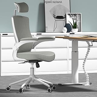 Photo 1 of ???? ?????? ?????, Ergonomic Mesh Desk Chair, High Back Computer Chair- Adjustable Headrest with Flip-Up Arms, Lumbar Support, Swivel Executive Task Chair (Modern, White) https://a.co/d/0bHo4nqf