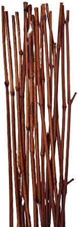 Photo 3 of Thick Bamboo Stakes 