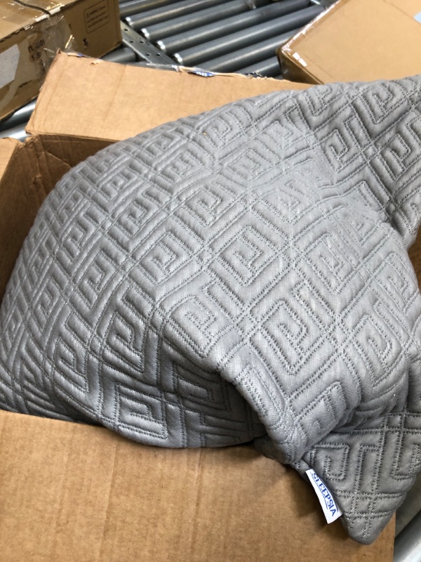 Photo 1 of Oversized throw pillow sleepsia 