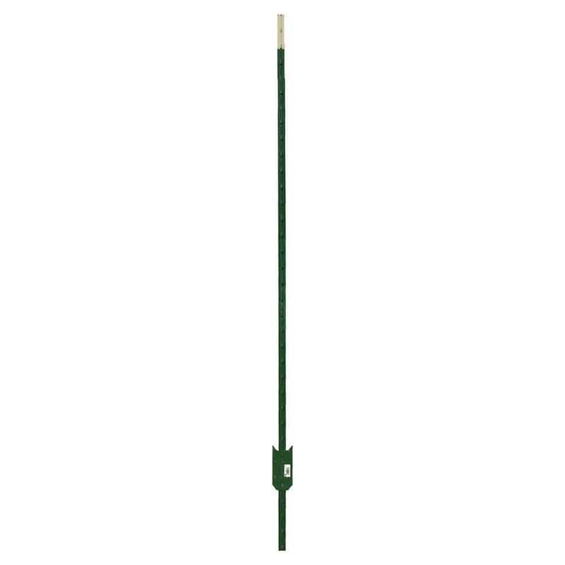 Photo 1 of 1-3/4 in. X 3-1/2 in. X 8 Ft. Green Steel Fence T-Post with Anchor Plate 4 pack 
