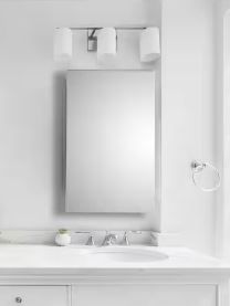 Photo 1 of 
Glacier Bay
Spacecab 16 in. W x 26 in. H Rectangular Frameless Recessed Medicine Cabinet with Polished Edge Mirror and 6-Shelves