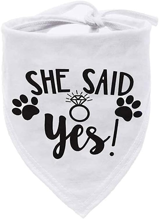 Photo 1 of 
HDGDT She Said Yes Dog Bandana, Wedding Dog Bandana, Dog Engagement Announcement, Wedding Photo Prop, Pet Scarf, PetPhoto Prop, Pet Scarf, Pet Accessories MEDIUM