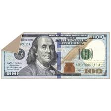 Photo 1 of 100 Dollar Bill Collection Non-Slip Rubberback Money 22x53 Money Rug, 22 in. x 53 in., Multicolor
