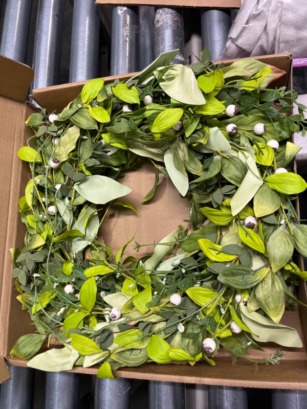 Photo 1 of 13 " 
 Spring Green Wreath