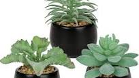 Photo 1 of Briful 3PCS Artificial Succulents Fake Plants Mini Succulents Potted in Black Ceramic Pots Artificial Plastic Plants for Home Office Desk Farmhouse Bathroom Décor
