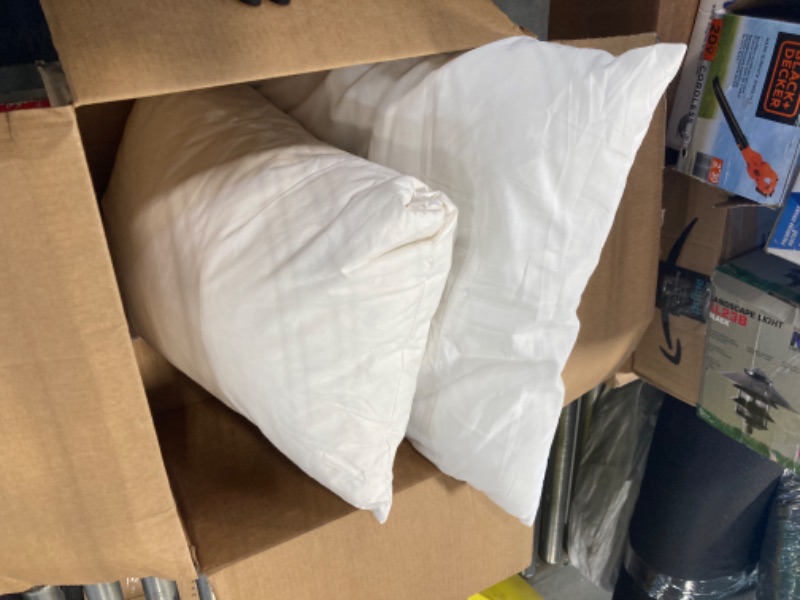 Photo 1 of 2 pillows
 one 17' x 13' with feathers. other 19' x 19' with cotton 