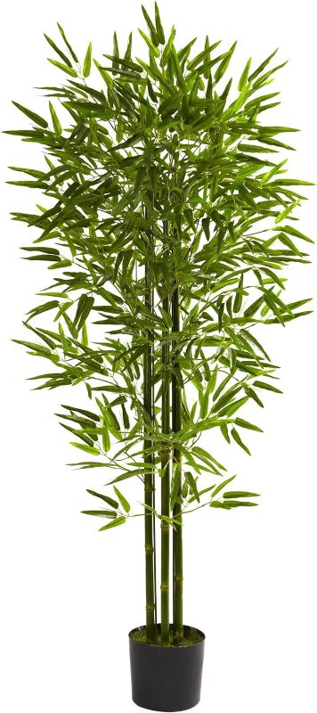 Photo 1 of Maia Shop Bamboo, Artificial Tree with Natural Canes, Made with The Best Materials, Ideal for Home Decoration, Artificial Plant 5 feet Tall - 60 inches 60inch Bamboo