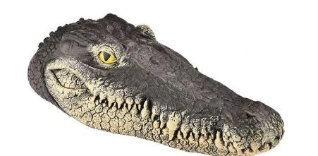 Photo 1 of Alligator Head Decoy, Outdoor Fake Gator Head,Crocodile Head for Decorations, 13 x 5.5 x 2.8 Inches