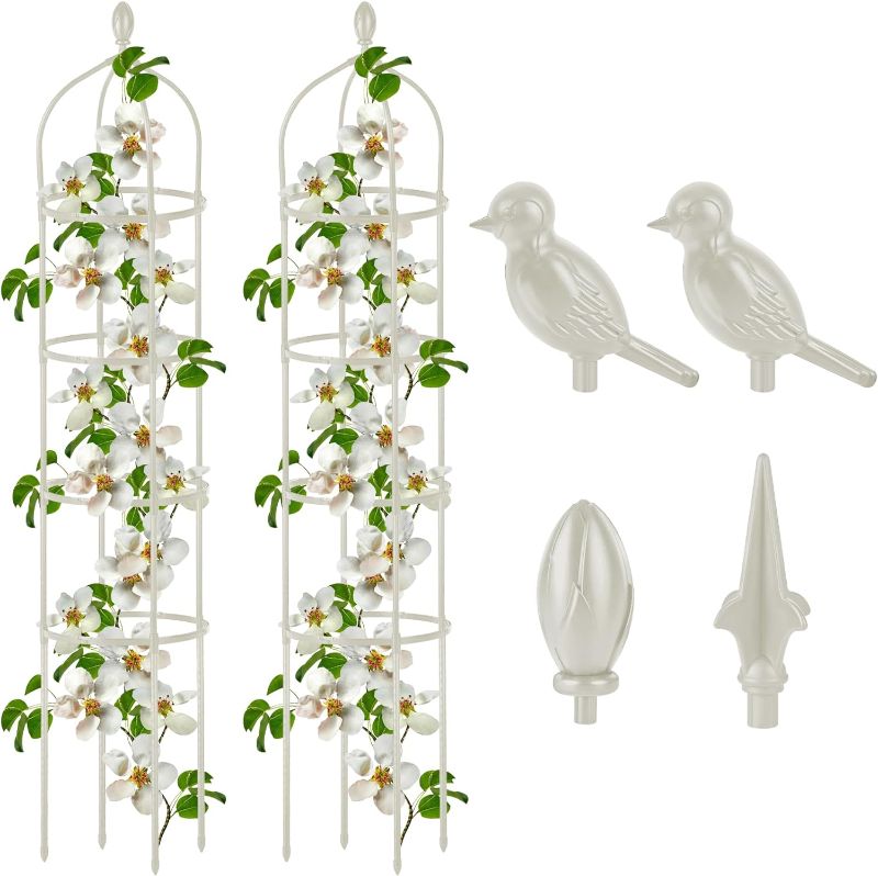 Photo 1 of 2 Pcs Garden Obelisk Trellis for Climbing Plants Outdoor 6 Ft Rose Bush Round Trellis for Pots Rustproof Metal Plant Flower Trellises for Clematis Vine Jasmine Support Outdoor Indoor
