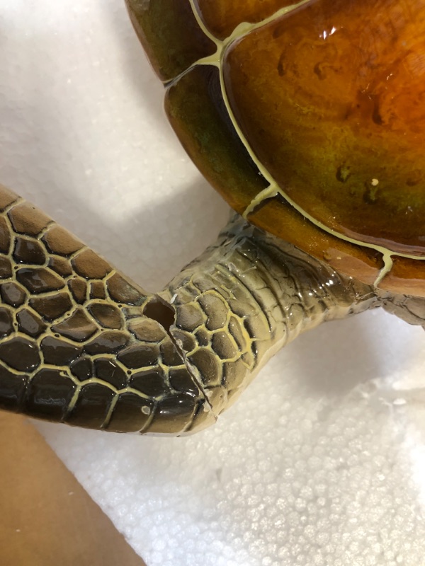 Photo 1 of Outdoor Statues: Sea Turtle Statue Garden Decor, Tabletop Display and Wall Hanging Garden Turtle (Amber)
***Fin is broken off, can be reattached by adhesive*** 