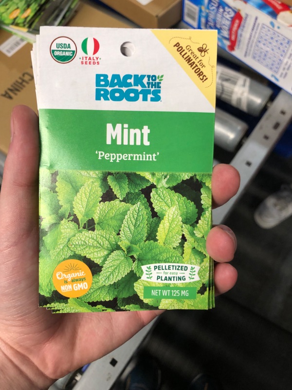 Photo 2 of ***PACK OF 10*** Organic Peppermint Mint Seed