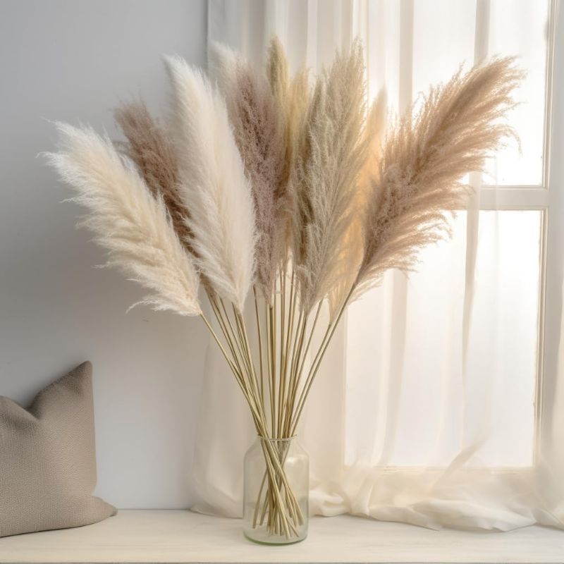 Photo 1 of ***STOCK PHOTO REFERENCE ONLY***40 Inches Natural Dried Pampas Grass Tall – 10 Stems Tall Pampas Grass for Floor Vase – Vibrant Colors Gray, Beige & White Large Pampas Grass Decor Tall for Modern Home Decor, Wedding, Office, Gifts
