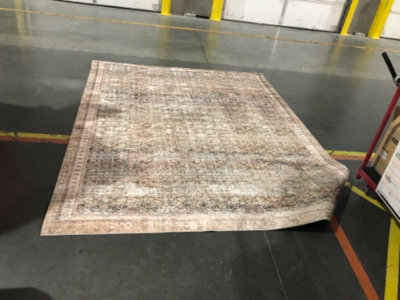 Photo 4 of ***USED - DIRTY - NO PACKAGING***
Loloi Chris Loves Julia x Jules Collection, Ink & Terracotta 7'-6" x 9'-6" Area Rug – Vintage Accent Rugs for Living Room, Bedroom, Entryway & Hallway, No Shed High Traffic Area Home Decor Rug