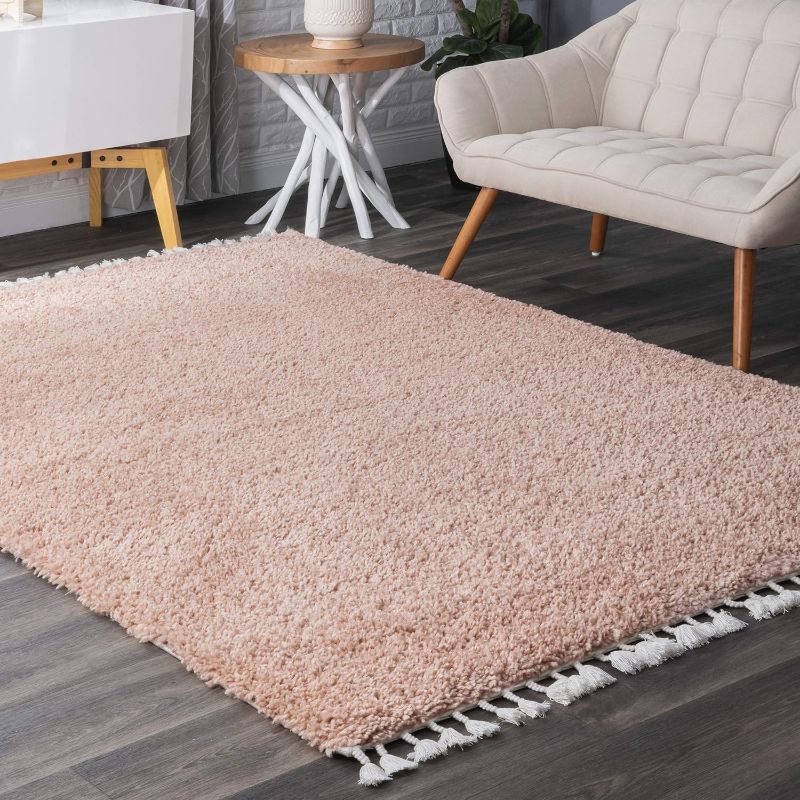 Photo 1 of ***FACTORY SEALED***nuLOOM Neva Modern Tasseled Shag Area Rug, 5x8, Pink