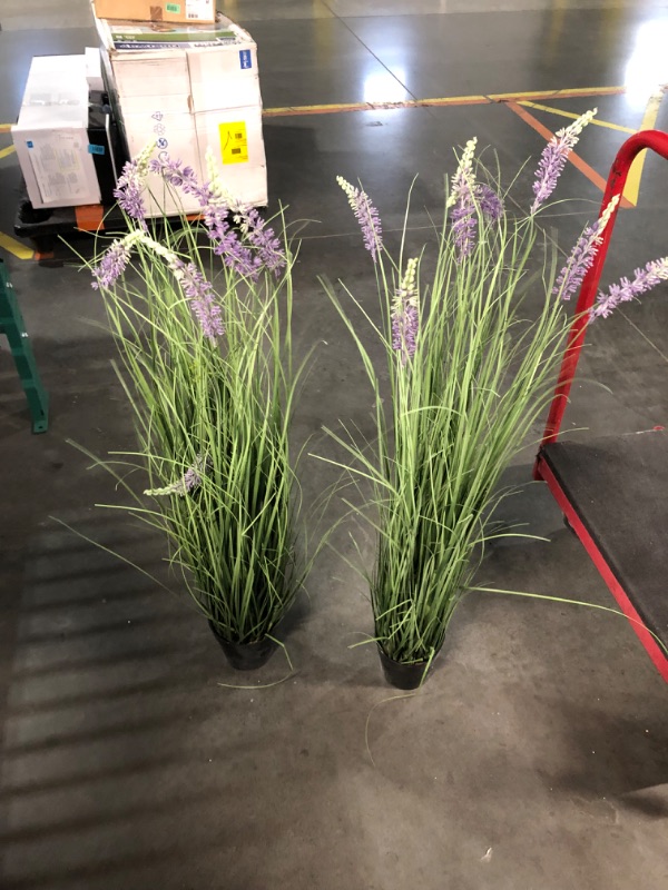 Photo 5 of ***USED - LEAVES BENT - SEE PICTURES***
Artificial Plant 47in(2pack) Tall Artificial Lavender Plant,Faux Plants Indoor Home Decorative Artificial Plants & Flowers in Pot Fake Plant, House Plant Indoor