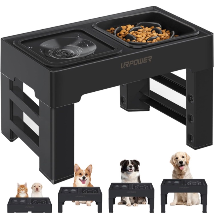 Photo 1 of URPOWER 2-in-1 Elevated Slow Feeder Dog Bowls with No Spill Dog Water Bowl 4 Height Adjustable Raised Dog Bowl Non-Slip Dog Food and Water Bowls with Stand for Small Medium Large Dogs, Cats and Pets
