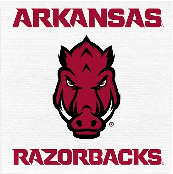 Photo 1 of P. Graham Dunn University of Arkansas Razorbacks Logo 11 x 11 Canvas Decorative Art Sign
