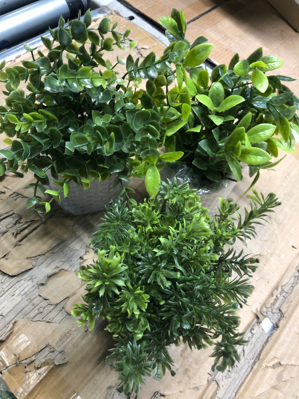 Photo 1 of 3 Pack Mini Potted Artificial Plants -Eucalyptus, Gardenia, and Rosemary Fake Plant for Home Decor -Artificial Faux Flowers -Greenery Topiaries for Office Desk, Floating Shelf, and Bookshelf