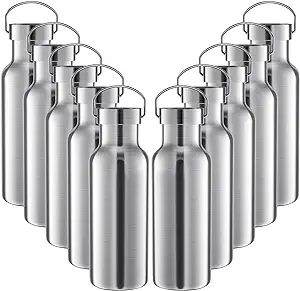 Photo 1 of 10 Pack 17oz Stainless Steel Sports Water Bottle Double Wall Insulated Bottle with Handle and Vacuum Seal Leakproof Lid for Cyclists Runners Hikers Beach Goers Picnics Camping Gift (Silver