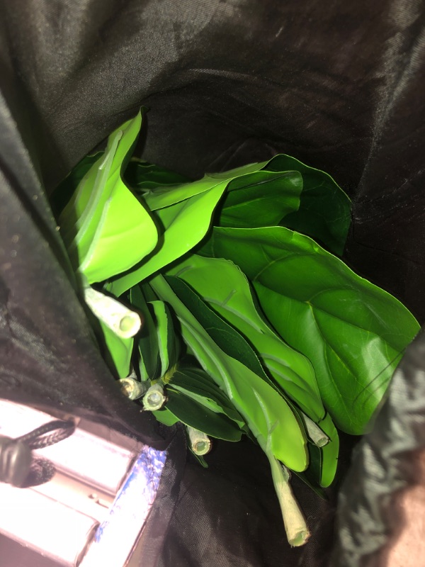 Photo 1 of Flybold Artificial Fiddle Leaf Fig Tree - Realistic Faux Leaves in Black Basket - Lifelike Decorative Element for Homes, Offices, Hotels, Restaurants - Indoor Plant Décor with Pot - 6.2" x 31.4"