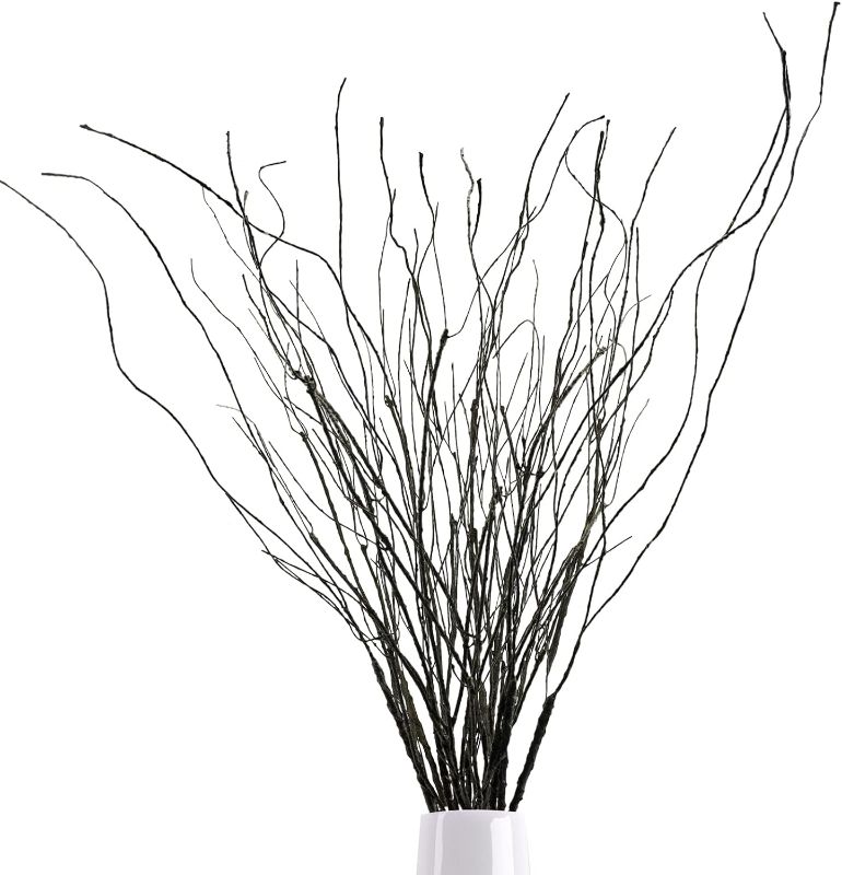 Photo 1 of 10Pcs 30.7" Curly Willow Branches, Artificial Flowers Twigs Decorative Sticks Stem, Dry Bendable Tree Branches for DIY Craft Home Room Wedding Floor Vase Garden Farmhouse Decor
