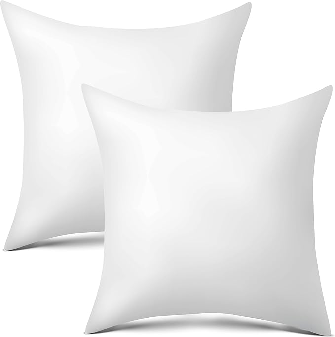 Photo 1 of  Pillow Inserts Set of 2