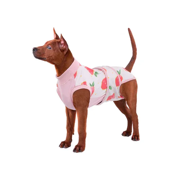 Photo 1 of L Peach Suitical Recovery Suit for Dogs & Cats
