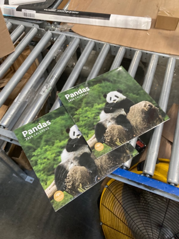 Photo 1 of 2 pack 2024 BABY PANDAS MONTHLY WALL CALENDAR BY BRIGHT DAY, 12 X 12 INCH CUTE NATURE PHOTOGRAPHY GIFT
