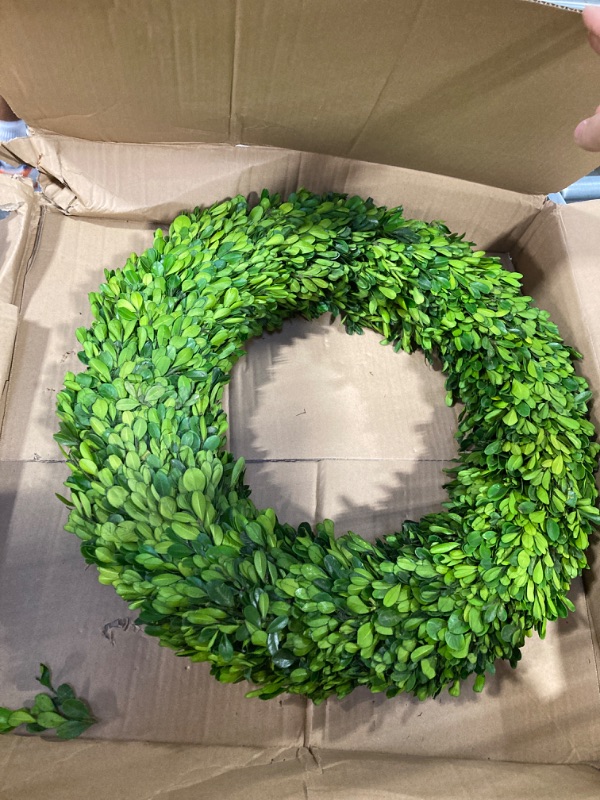 Photo 3 of 24in. Preserved Boxwood Wreath