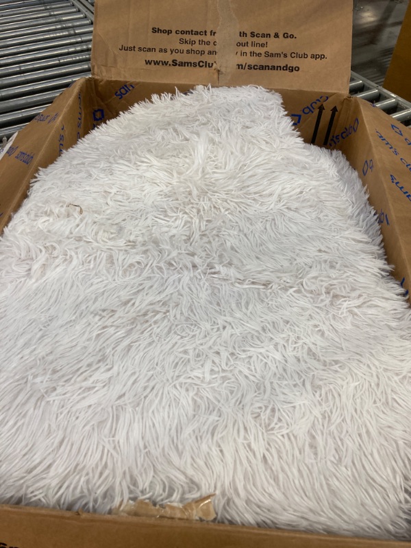 Photo 1 of Ophanie Machine Washable 6 x 9 Rugs for Living Room,White,Large Fluffy Fuzzy Plush Shag Comfy Soft,Non-Slip Indoor Floor Carpet,for Kids Boys Girls Dorm?Room,Bedroom,Playroom?Home Decor Aesthetic White 6x9 Feet
