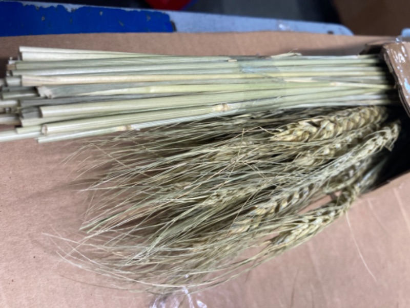 Photo 3 of 100 Pcs Dried Wheat Stalks Bundle Natural Dried Wheat Sheaves Stems Wheat Grass Dried Flowers Arrangement Bouquet for Wedding Party Table Centerpiece Fall Harvest Wreath Boho Decor Farmhouse