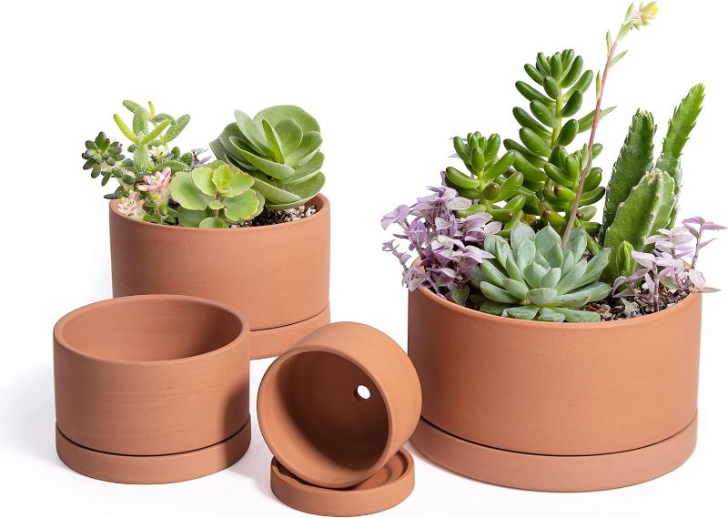 Photo 1 of  Set of 4 Terracotta Shallow Planter Pots for Succulent, 3 Inch 4 Inch 5 Inch 6 Inch, Small Flower Plant Pots 