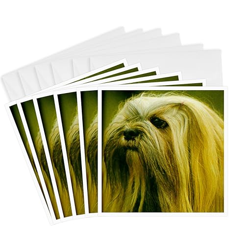 Photo 1 of 3dRose Lhasa Apsos - Greeting Cards, 6 x 6 inches, set of 6 (gc_659_1)