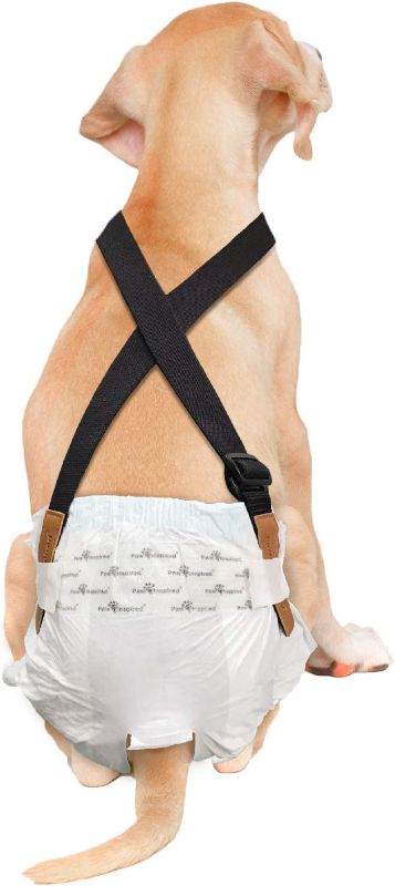 Photo 1 of 
Paw Inspired Dog Diaper Suspenders with Velcro Fasteners | Stretchy Adjustable Suspenders for Female and Male Disposable and Washable Diapers