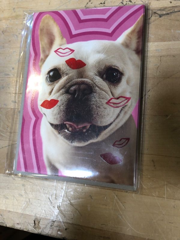 Photo 2 of Hallmark Pack of 4 Valentines Day Cards (French Bulldog Kisses) Smootch from a Pooch, 4 Cards with Envelopes