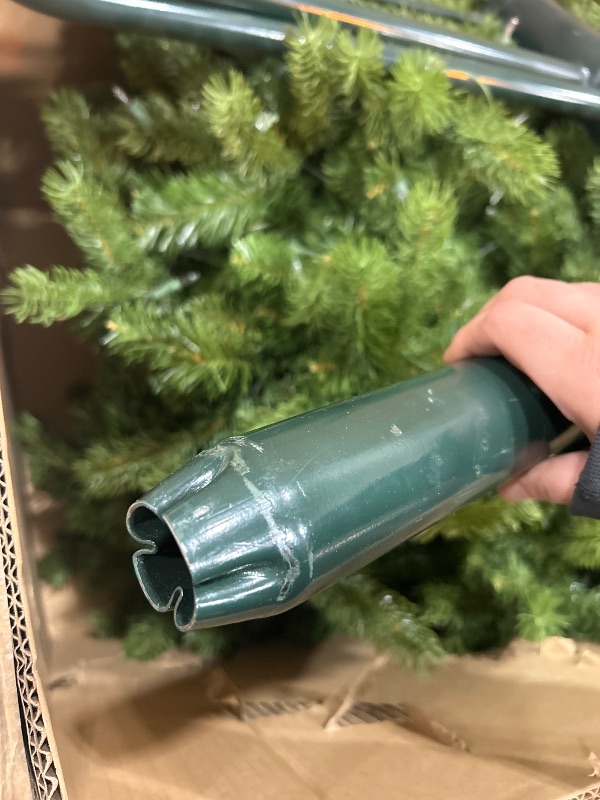 Photo 4 of ****NON REFUNDABLE, TESTED AND POWERS ON, MINOR DAMAGE SOME BRANCHES HANG LOWER THAN OTHERS **** National Tree Company 10-ft Douglas Fir Pre-lit Artificial Christmas Tree with Incandescent Lights model HZ 0924