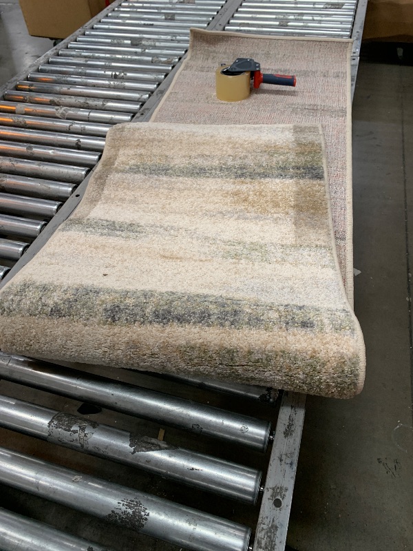 Photo 1 of allen + roth with STAINMASTER Multiscape Performance 2 X 8 (ft) Cream Indoor Abstract Farmhouse/Cottage Area Rug
