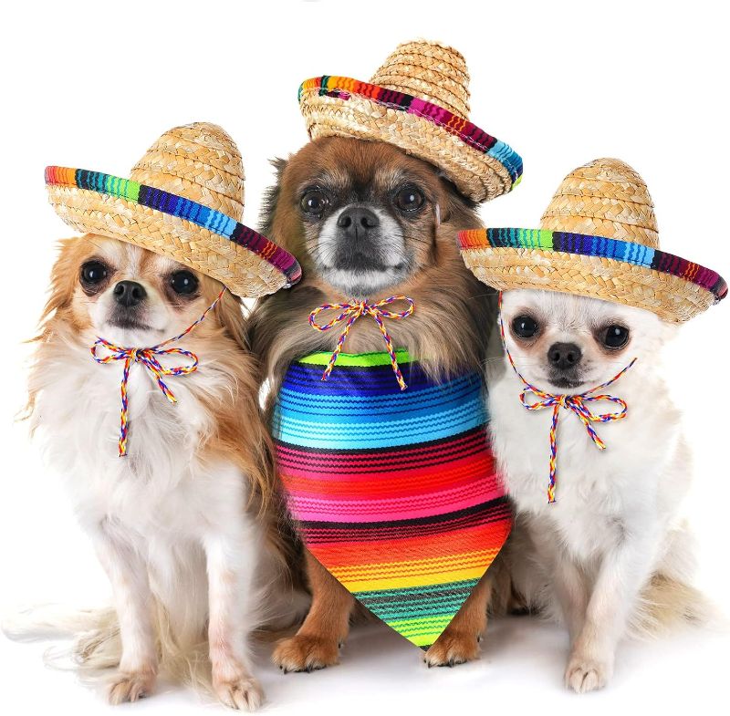 Photo 1 of 2 PACK-- Dog Sombrero Hat Multicolor Sombrero Hats Straw Mexican Hat