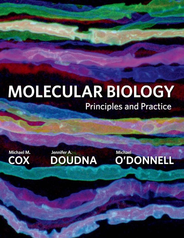 Photo 1 of Molecular Biology: Principles and Practice 